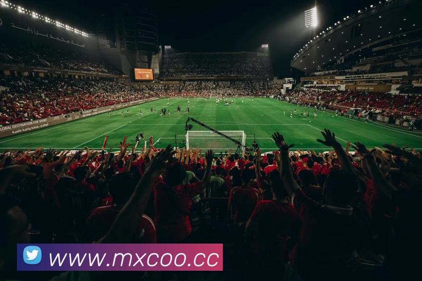 九游网页版本官网APP 封面图